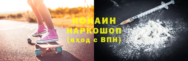 PSILOCYBIN Заводоуковск