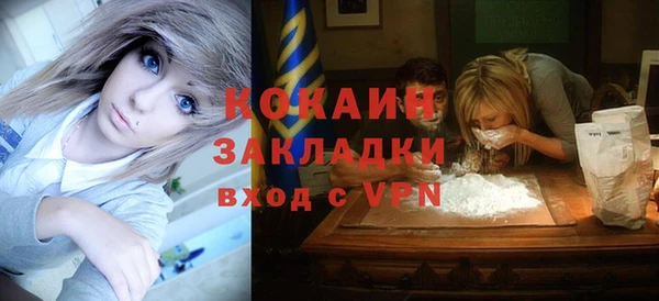 PSILOCYBIN Заводоуковск