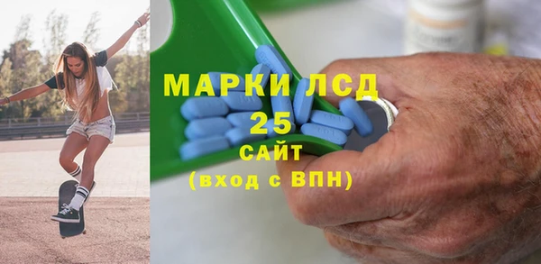 PSILOCYBIN Заводоуковск