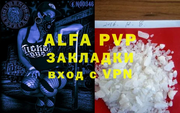 PSILOCYBIN Заводоуковск