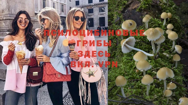 PSILOCYBIN Заводоуковск