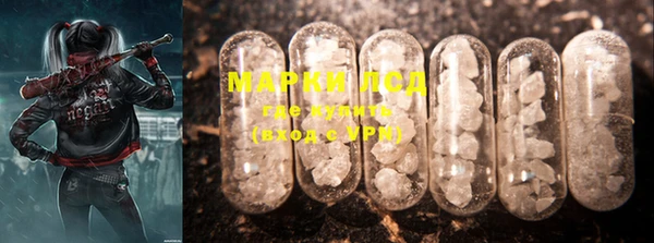 PSILOCYBIN Заводоуковск